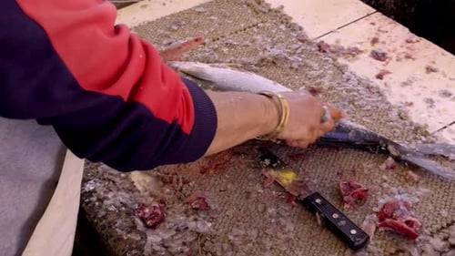 Cleaning Fish