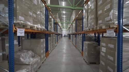 Plant Warehouse Contains Shelves with Finished Folded Boxes