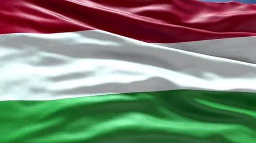 Zoom Flag Ungarn