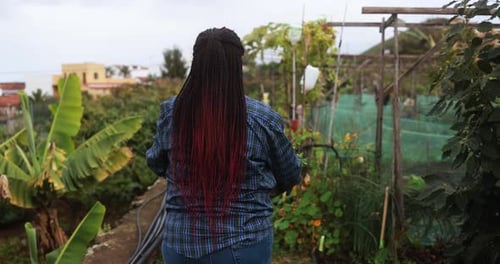 Farmer african woman walking around vegetables garden - Agriculture, local business and organic food