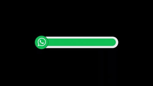 WhatsApp Social Media Lower Third Title Reveal Flat Design