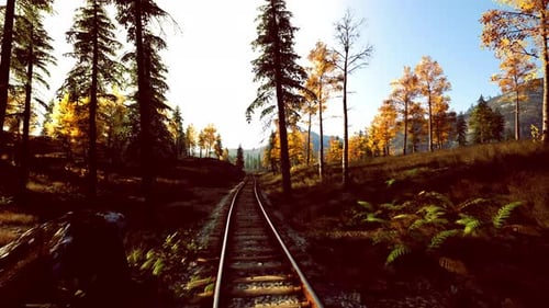 Low Angle View of Illuminated Train Tracks Among Autumn Trees