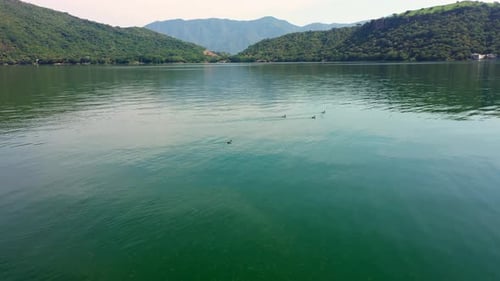 Ducks swimming in Santa Maria del Oro lagoon Nayarit Mexico on a beautiful day in the lagoon