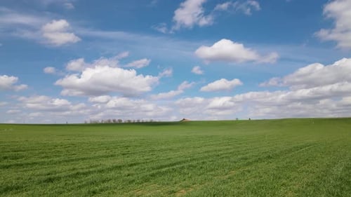 Grüne Wiesen und bewölkter blauer Himmel