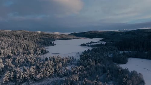 Snowy Pine Trees In The Forest During Winter In Norway. - aerial shot