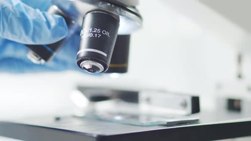 Gloved Hand Adjusting Microscope in Bright Laboratory