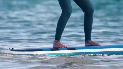 Woman standing over windsurf board and practicing sports on Summer