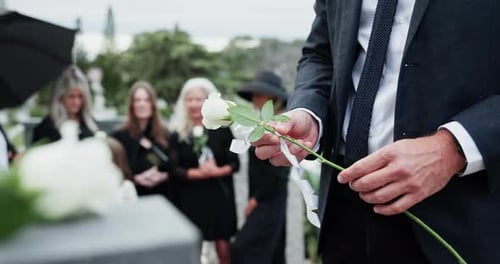 Flower, memorial and hands of man by graveyard for remembrance, mourning or grief at service