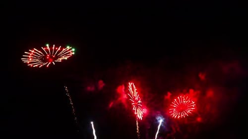 Hermosa celebración abstracta colorida exhibición de fuegos artificiales en el fondo nocturno