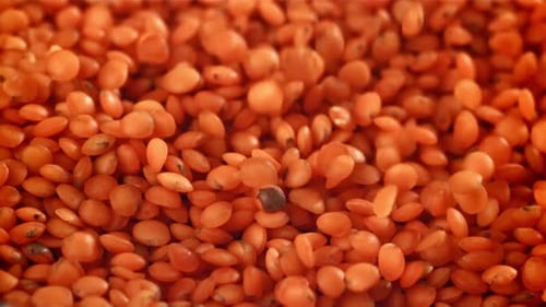 Falling Lentil Seeds Filmed on a Highspeed Camera at 1000 Fps