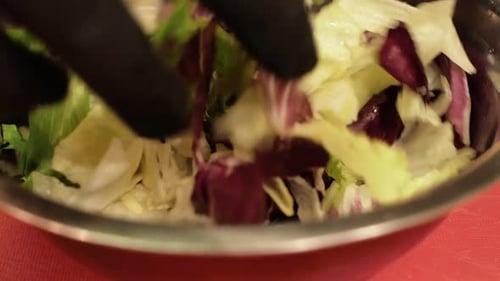 Gloved hands mixing fresh salad in bowl