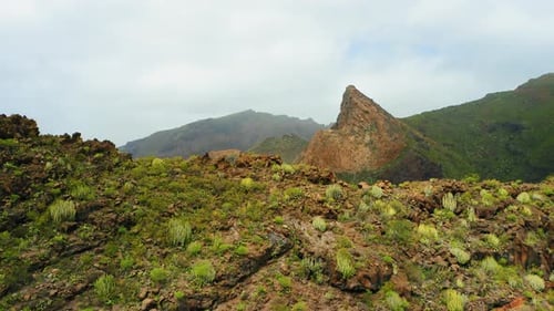 Picturesque Landscape