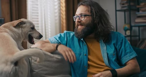 Man Sitting on Couch Petting Dog