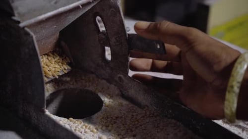 wheat grinding closeup wheat falling in the grinder .