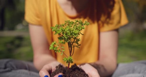 Young Woman Holding Plant Seedlings
