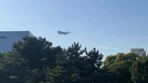 Airplane landing above city park with lush green trees, clear sky in the background