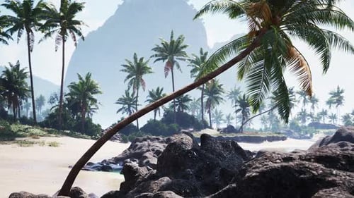 Enjoying the Serene Beach Landscape with Palm Trees in Tahiti During the Day