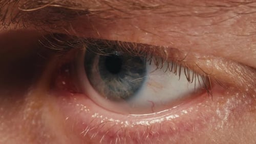 Extreme Close-up Shot of a Human Eye