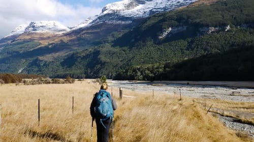Rear view of Blond Woman with backpack and hiking poles trekking in yellow grasses during sunny day