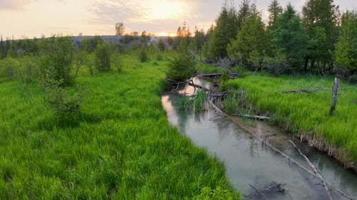 Aerial drone view of a calm forest stream reflecting the sky while winding through vibrant green