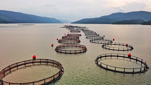 Fishing Cages for Breeding Fish in Lake in Mountain Valley of Rhodope Mountains Under Cloudy Sky