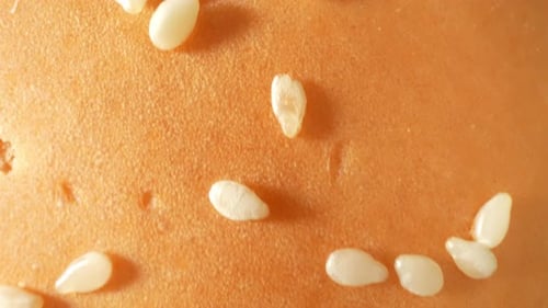 Burger buns with white sesame in macro video