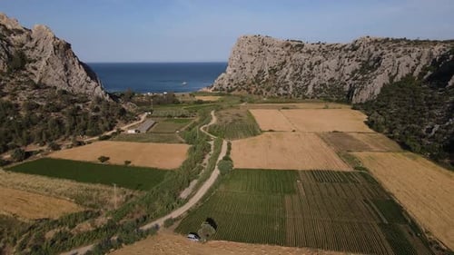 Field Seaside