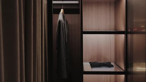 Modern Closet with Organized Shelves and Garments