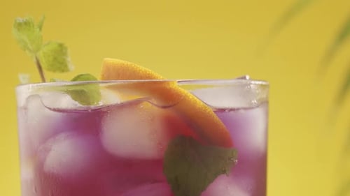 Iced Refreshment with Citrus and Mint Garnish