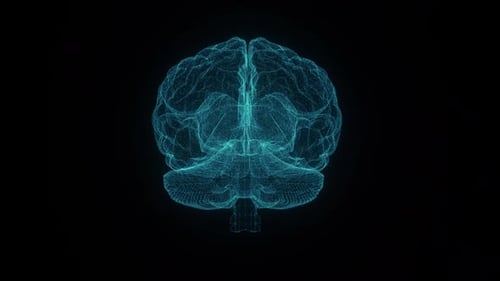 Sci-fi Hud Human Brain Loop Video