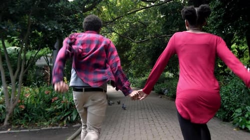 4k Video footage of a young couple enjoying a romantic afternoon in a park together