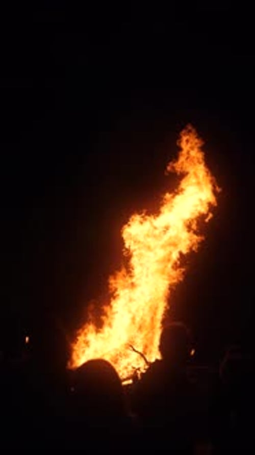 A fire burning wood, at night, forest fire, accident, tragedy, firefighter, campfire, large fire, ve