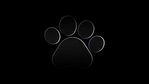 Pet Icons Loop