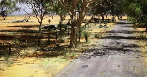 Deserted Road Surrounded By Trees and Shrubs in Arid Landscape