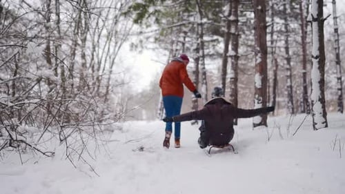 Lovely Couple Sledding on Snowy Winter Day Man Pull Sled with Girlfriend on Snowfall Woman Have Fun