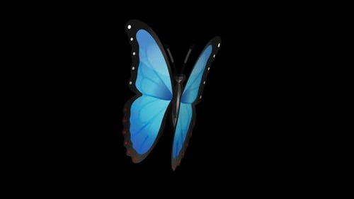 Graceful Blue Butterfly Wing Opening Animation
