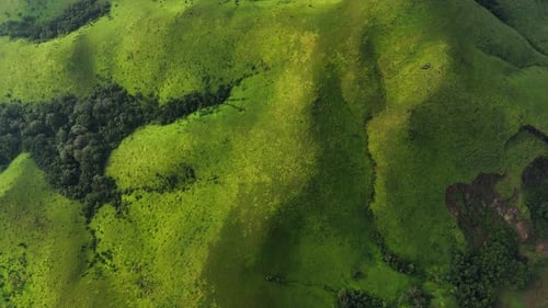 Devaramane Betta | Famous Trekking Spot in Chikmagalur, misty grass meadows forest top view