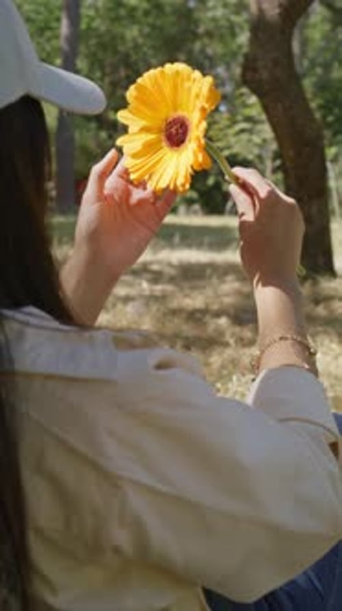 Woman Holding a Yellow Flower Sitting Near a Tree