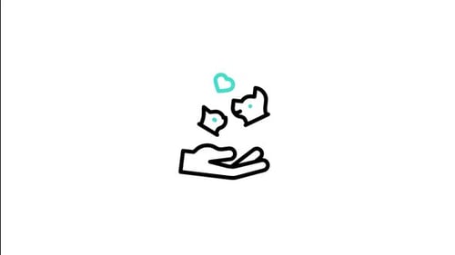 Pet Care Animated Icon