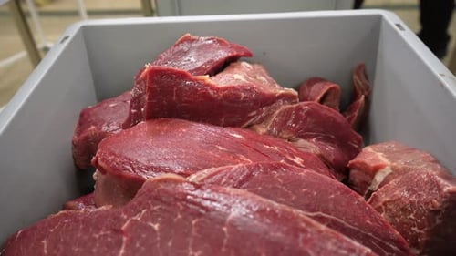 A close-up of fresh raw beef meat lies on the counter. Meat shop