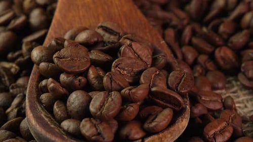 Roasted Coffee Beans in Wooden Spoon Close Up