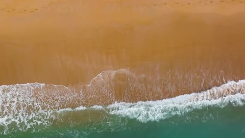 Beautiful Beach and Sea