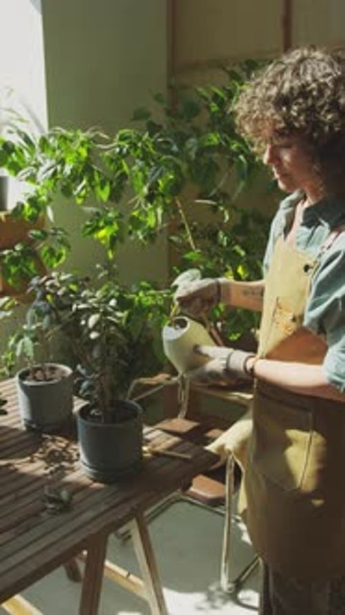 Florist Watering Houseplants while Working at Studio