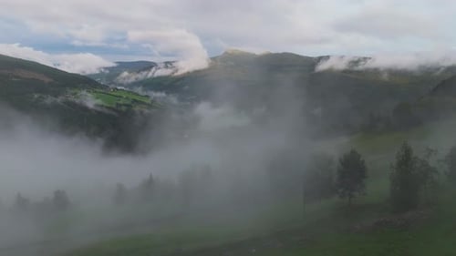 A serene aerial view showcases a mist-covered hillside with lush green trees, creating a tranquil an