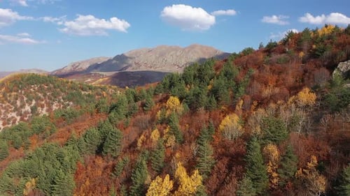 Vue aérienne des forêts et des montagnes colorées en automne
