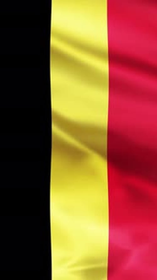 Realistic Waving Belgian Flag Vertical Animation
