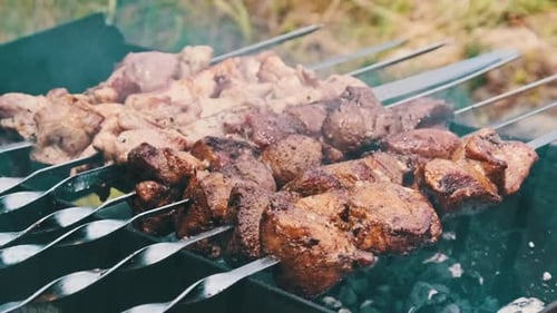 Shish Kebabs on Skewers are Cooked on the Grill Outdoors