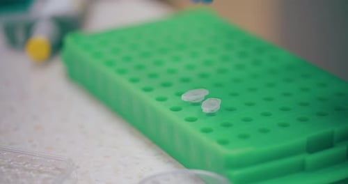 Scientist Working in Medical Laboratory Cancer Research Covic 19 Pandemic