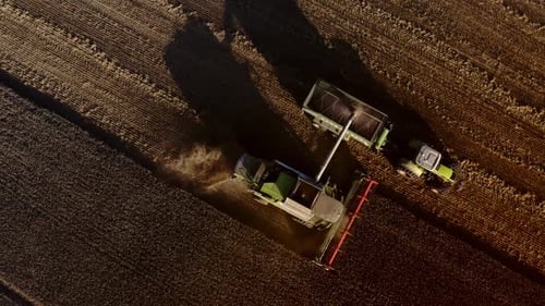 Luftaufnahme eines Mähdreschers, der auf einem sonnenbeschienenen Feld arbeitet