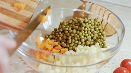 Ingredients for Russian Traditional Salad Olivier with Vegetables and Meat